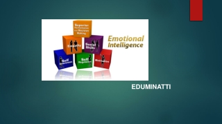 Emotional Intelligence