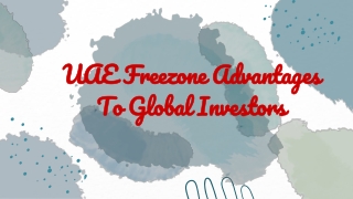 UAE Freezone Advantages To Global Investors