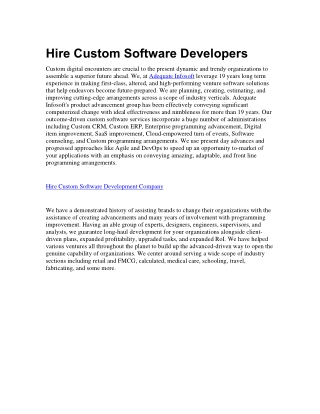 Hire Custom Software Developers