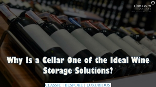 Why Is a Cellar One of the Ideal Wine Storage Solutions?