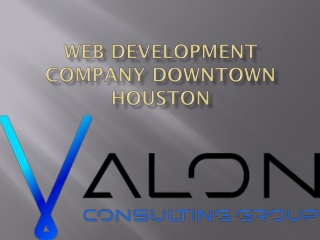 Web Development Company Downtown Houston