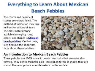 Everything to Learn About Mexican Beach Pebbles