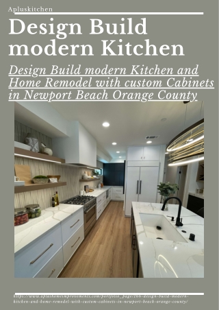 Design Build modern Kitchen