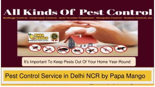 Pest Control Service in Delhi NCR by Papa Mango