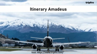 ITINERARY AMADEUS - TripFro