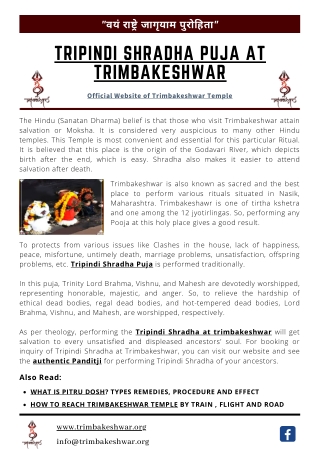 Tripindi Shradha Puja at Trimbakeshwar Temple