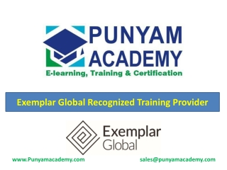 Punyam Academy - Online ISO Lead Auditor Training Certification (1)
