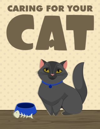 Caring for Your Cat