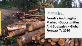 Global Forestry And Logging Market Overview And Top Key Players by 2030