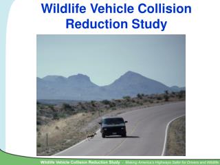 Wildlife Vehicle Collision Reduction Study