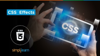 CSS Effects Tutorial | CSS Effects With Code | CSS Animation Effects Tutorial |