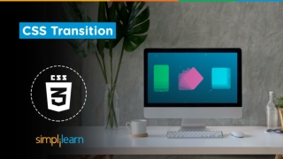 CSS Transitions Tutorial With Examples | CSS Transitions Explained | CSS Tutoria