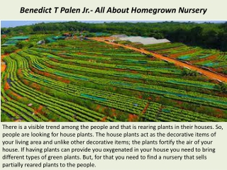 Benedict T Palen Jr.- All About Homegrown Nursery