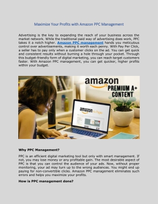Maximize Your Profits with Amazon PPC Management