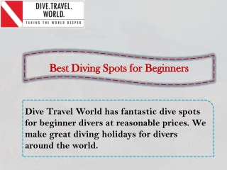 Best Diving Spots for Beginners