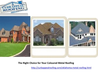 The Right Choice for Your Coloured Metal Roofing