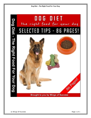 Dog Diet - The Right Food for Your Dog