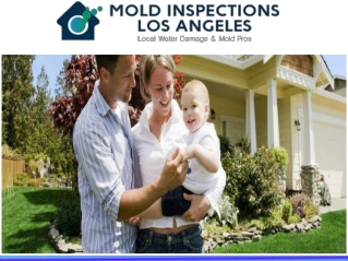 Mold Inspections Los Angeles