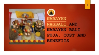 NARAYAN NAGBALI AND NARAYAN BALI PUJA, COST AND BENEFITS