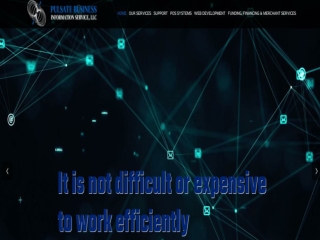 Pulsate Business Information Service LLC