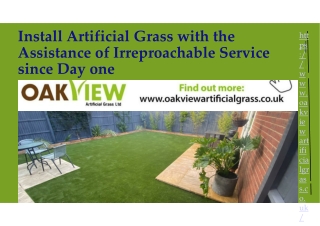 Install Artificial Grass with the Assistance of Irreproachable Service since Day one