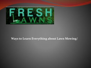 Learn Everything about Lawn Mowing