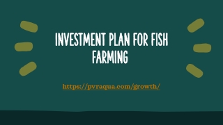 Investment Plan for Fish Farming