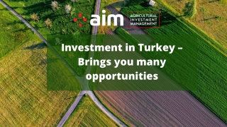 Investment in Turkey – Brings you many opportunities