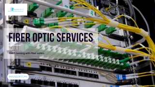 Fiber Optic