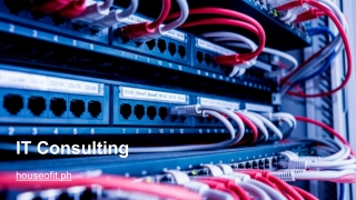 IT Consulting