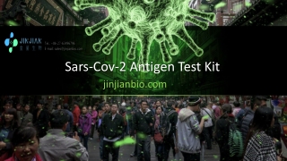 Sars-Cov-2 Antigen Test Kit