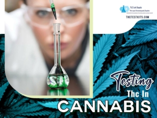 Significance of Testing Thc in Cannabis