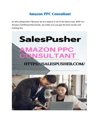 Amazon PPC Consultant