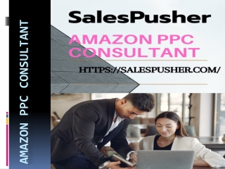 Amazon PPC Consultant