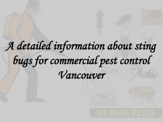 A detailed information about sting bugs for commercial pest control Vancouver