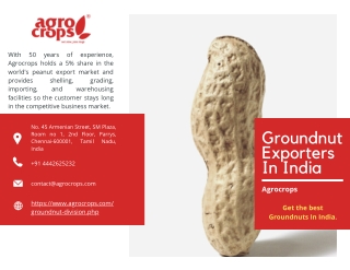 One of The Best Groundnut Exporters In India
