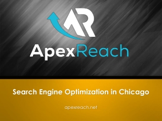 Search Engine Optimization in Chicago - Apex Reach