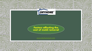 Factors affecting the cost of mold removal