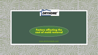 Factors affecting the cost of mold removal (1)