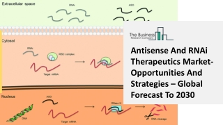 Antisense And RNAi Therapeutics Market- Opportunities And Strategies – Global Forecast To 2030