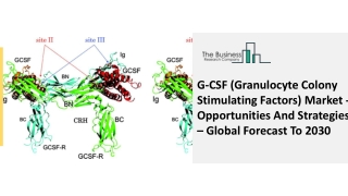 G-CSF (Granulocyte Colony Stimulating Factors) Market - Opportunities And Strategies – Global Forecast To 2030