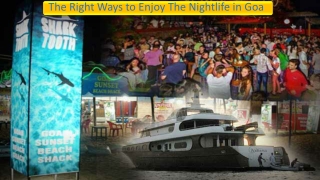 The Right Ways to Enjoy The Nightlife in Goa