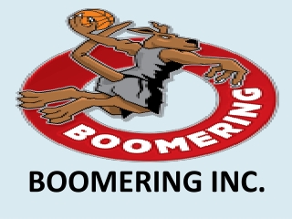 BOOMERING INC