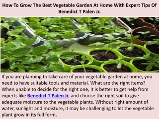 How To Grow The Best Vegetable Garden At Home With Expert Tips Of Benedict T Palen Jr.