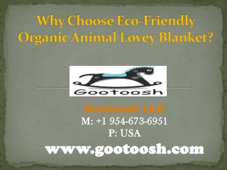 Why Choose Eco-Friendly Organic Animal Lovey Blanket?