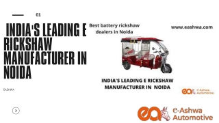 INDIA'S LEADING E RICKSHAW MANUFACTURER IN NOIDA