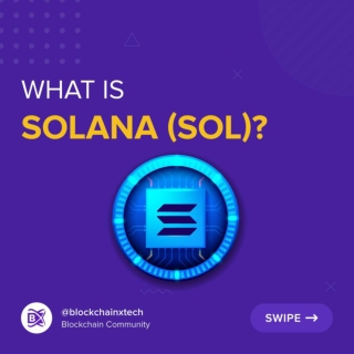 What is Solana (SOL)?