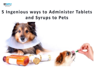 5 Ingenious Steps to Administer Tablets and Syrups to Your Dog| VetSupply | Aust