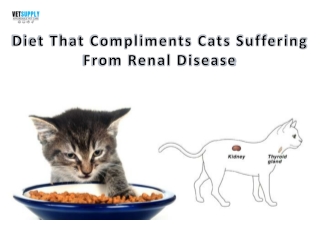 Diet that compliments cats suffering from Renal Disease| VetSupply | Australia B