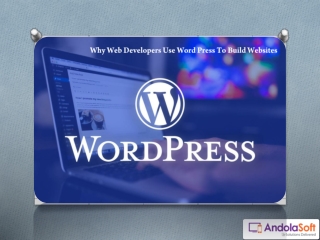 Why Web Developers Use Word Press To Build Websites